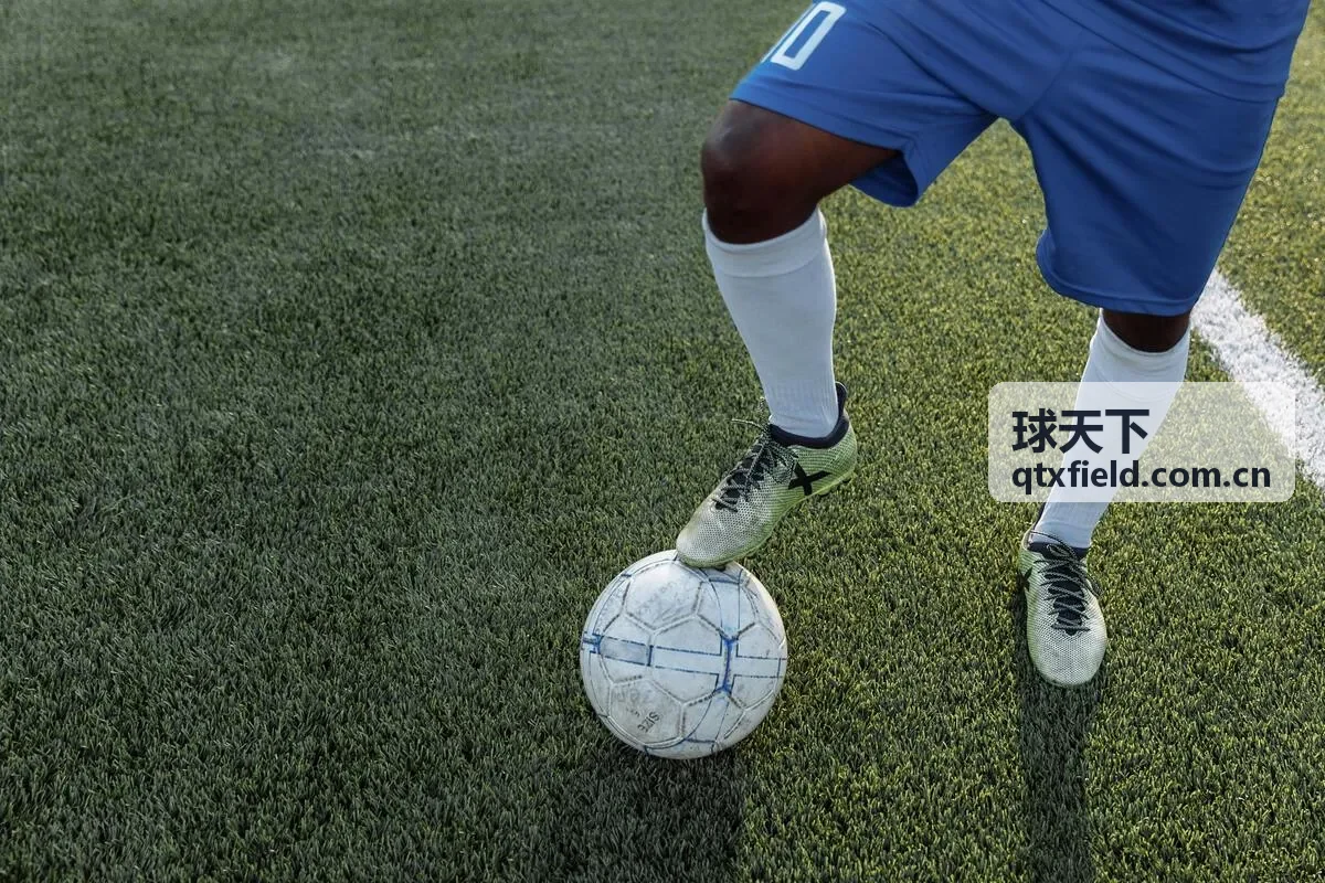 球天下意甲联赛数据